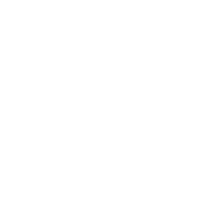 iconwhite 03